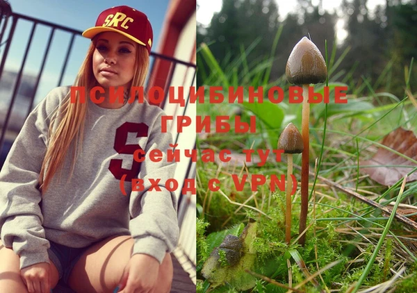 кокс Алексеевка