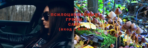 mix Арсеньев