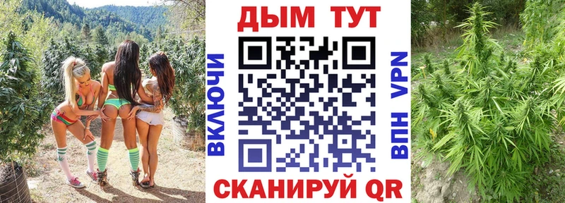 Конопля Bruce Banner  Аша 